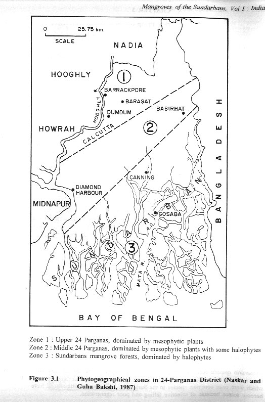 Mangroves of the Sundarbans - Volume I - aus dem Buch